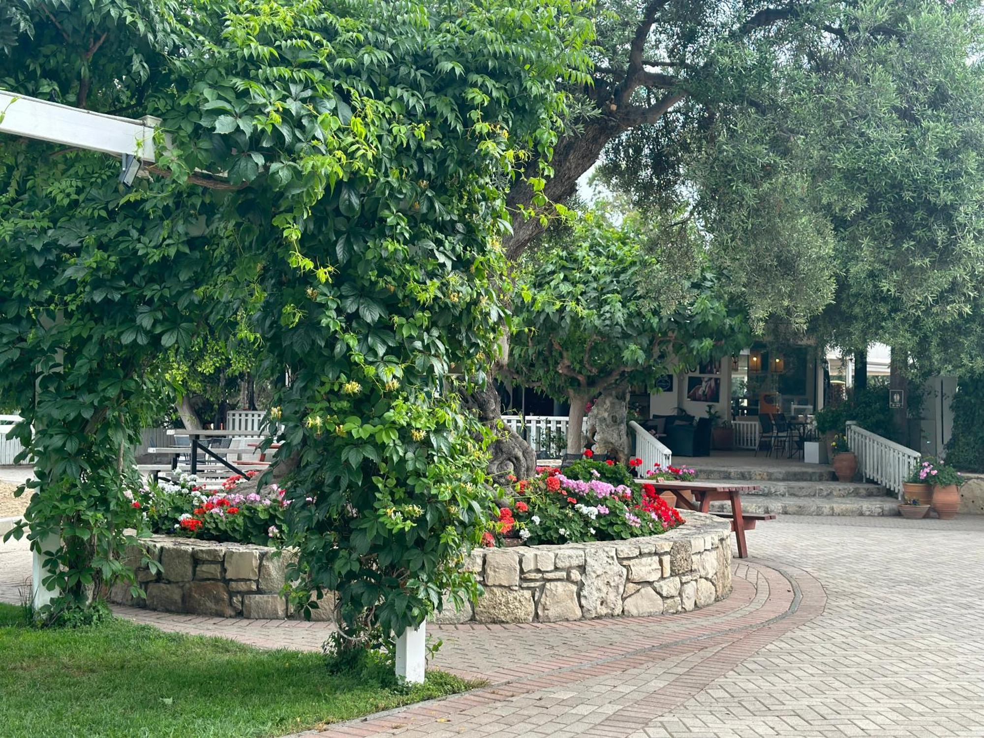 Amnisiades Apartment